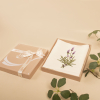 khăn tay thêu hoa lavender màu trắng
